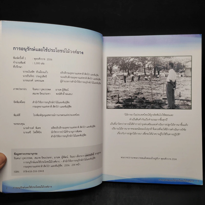 การอนุรักษ์และใช้ประโยชน์ไม้วงศ์ยาง รูปที่ 5