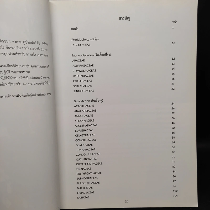 ป่าเต็งรัง แม่น้ำภาชี รูปที่ 6