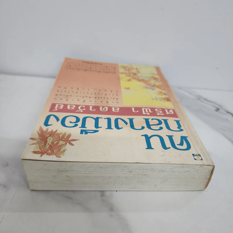 คนกลางเมือง - ศรีฟ้า ลดาวัลย์ รูปที่ 4