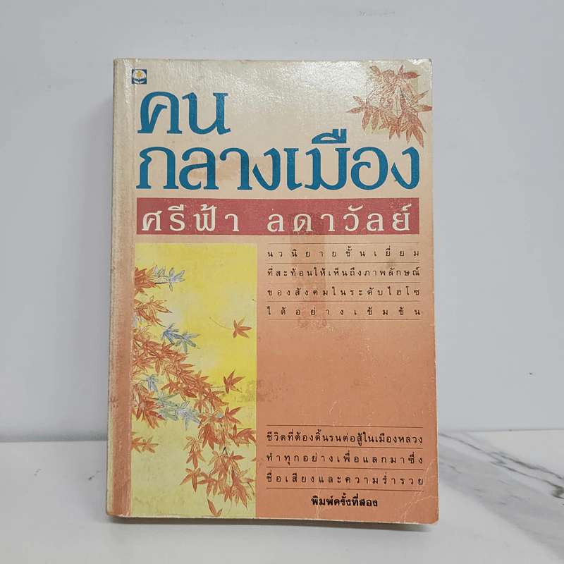 คนกลางเมือง - ศรีฟ้า ลดาวัลย์ รูปที่ 1