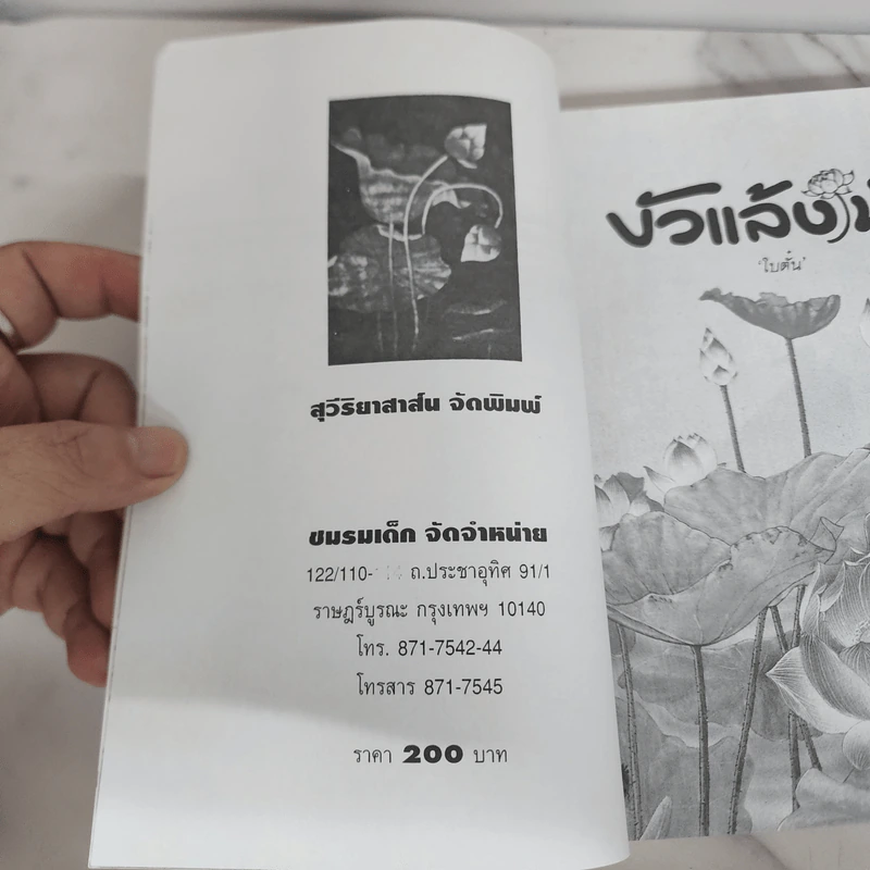 บัวแล้งน้ำ - โบตั๋น รูปที่ 7