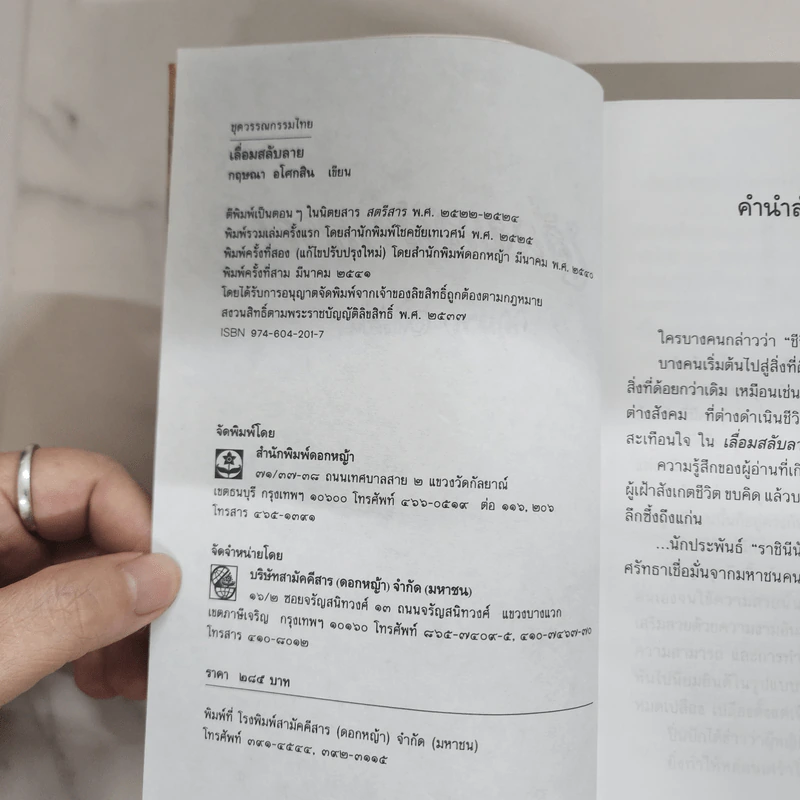 เลื่อมสลับลาย - กฤษณา อโศกสิน รูปที่ 7