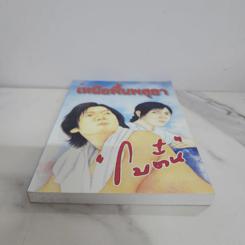 เหนือพื้นพสุธา - โบตั๋น รูปที่ 5