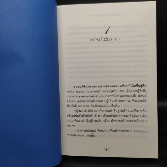 บัลลังก์สายหมอก 2 เล่มจบ - วรรณวรรธน์ รูปที่ 6