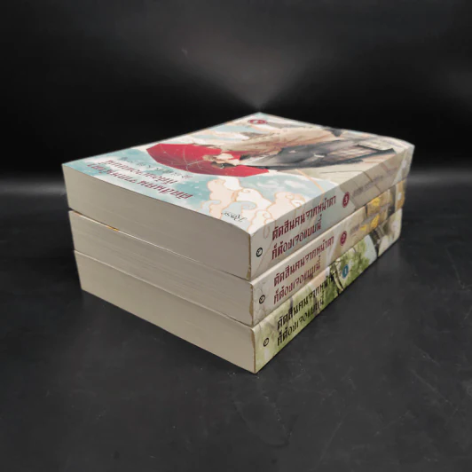นิยายวาย ตัดสินคนจากหน้าตาก็ต้องเจอแบบนี้ 3 เล่มจบ - เย่ว์เซี่ยเตี๋ยอิ่ง (Yue Xia Die Ying) รูปที่ 3