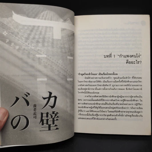 กำแพงคนโง่ - ทาเคชิ โยโร่ รูปที่ 9