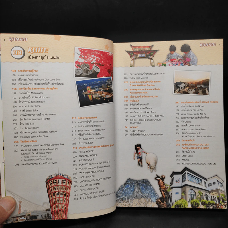 Japan Kansai เที่ยวญี่ปุ่น ฉบับตะลุยคันไซ รูปที่ 8