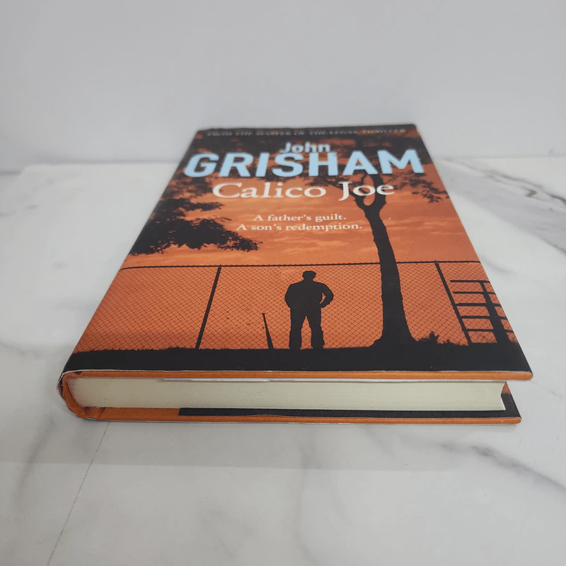 Calico Joe - John Grisham รูปที่ 5
