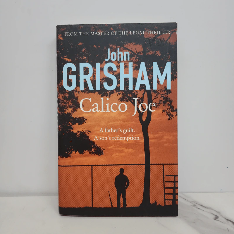 Calico Joe - John Grisham รูปที่ 1