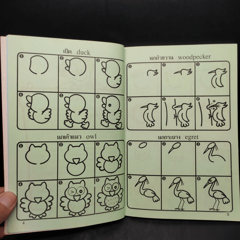 หัดวาดการ์ตูน 4 รูปสัตว์ปีก รูปที่ 6