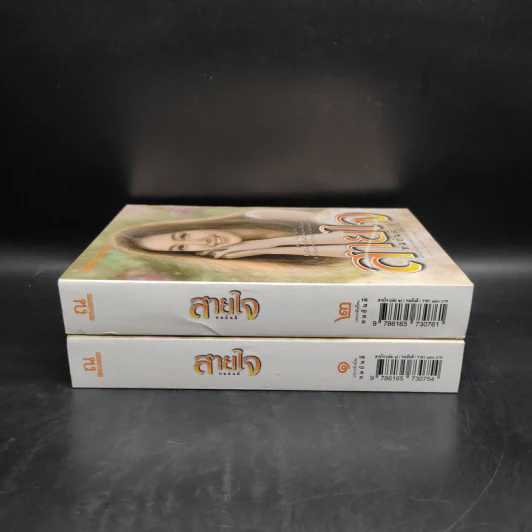 สายใจ 2 เล่มจบ - ลักษณวดี รูปที่ 3