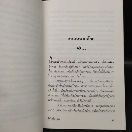 สาวชะโงก - ไม้ เมืองเดิม รูปที่ 6