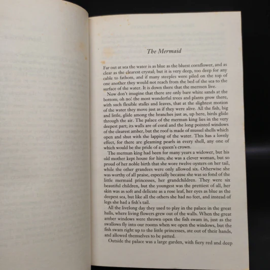 Andersen's Fairy Tales - Hans Christian Andersen รูปที่ 6