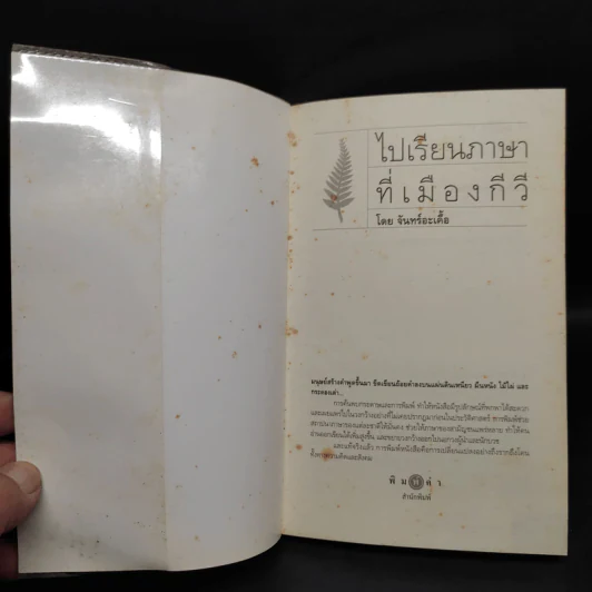 ไปเรียนภาษาที่เมืองกีวี - จันทร์อะเคื้อ รูปที่ 5
