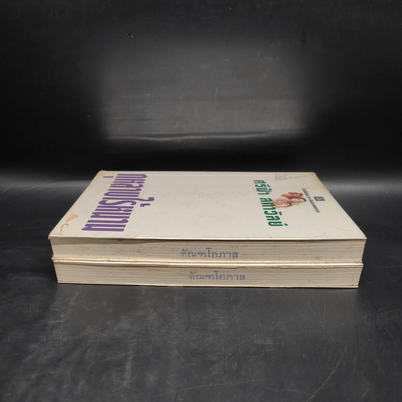 กุหลาบไร้หนาม 2 เล่มจบ - ศรีฟ้า ลดาวัลย์ รูปที่ 5