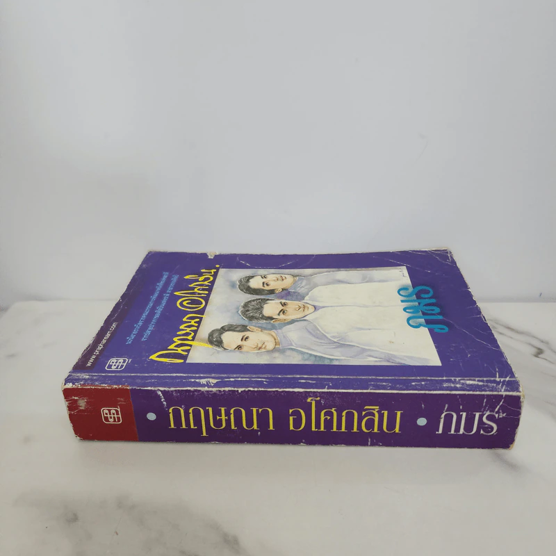 ภมร - กฤษณา อโศกสิน รูปที่ 2