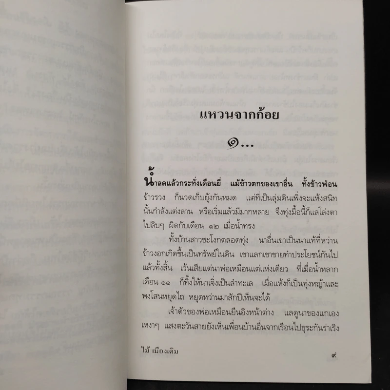 สาวชะโงก - ไม้ เมืองเดิม รูปที่ 6