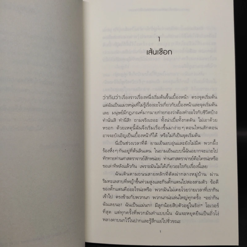 เพราะแมวแฟรงกี้ ผมจึงอยากมีชีวิตต่อไปอีกหน่อย - ย็อคเคิน กูทช์,มักซิม เลโอ รูปที่ 6