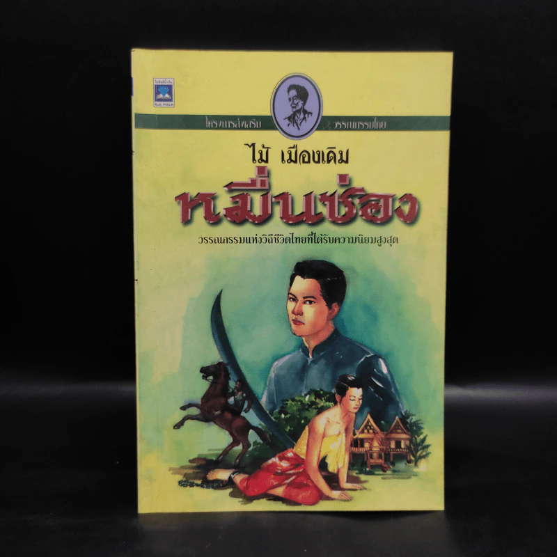 หมื่นซ่อง - ไม้ เมืองเดิม รูปที่ 1