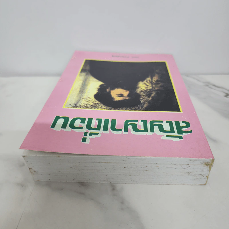 สัญญาเถื่อน - จามรี พรรณชมพู รูปที่ 4