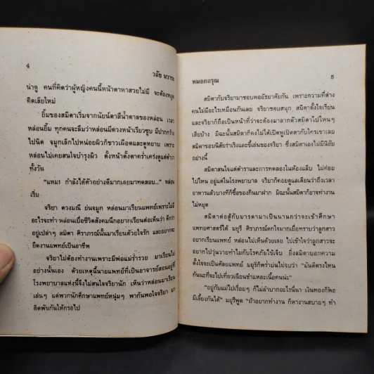 หมอกอรุณ - วลัย นวาระ รูปที่ 6