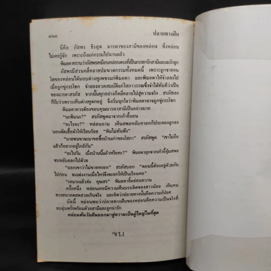 ปลายทางฝัน - จามรี พรรณชมพู รูปที่ 6