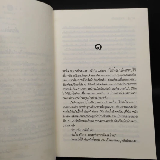 ลมซ่อนรัก - นราเกตต์ รูปที่ 6