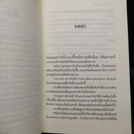 เงาเสน่หา - นราเกตต์ รูปที่ 6