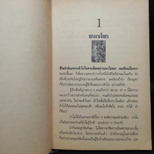 ผจญไพร - สังคีต จันทนะโพธิ รูปที่ 6