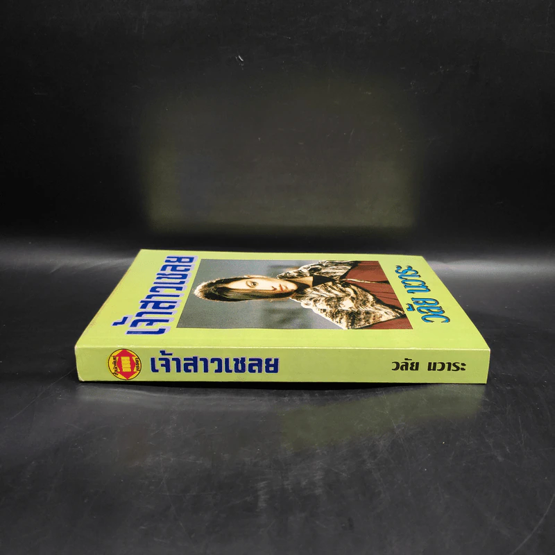 เจ้าสาวเชลย - วลัย นวาระ รูปที่ 3