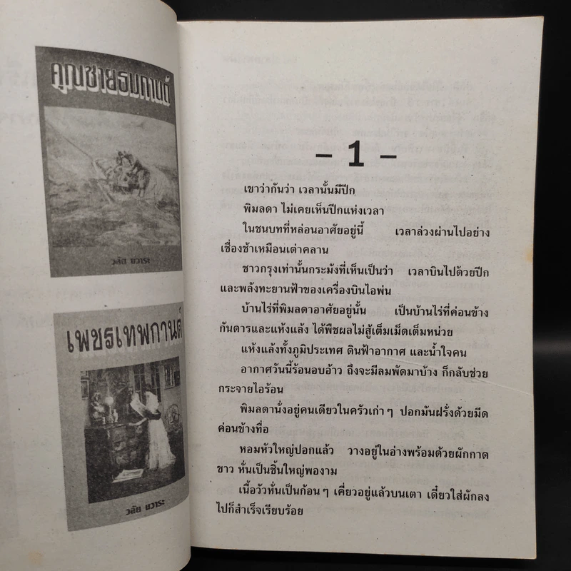 ปลายทางฝัน - จามรี พรรณชมพู รูปที่ 5