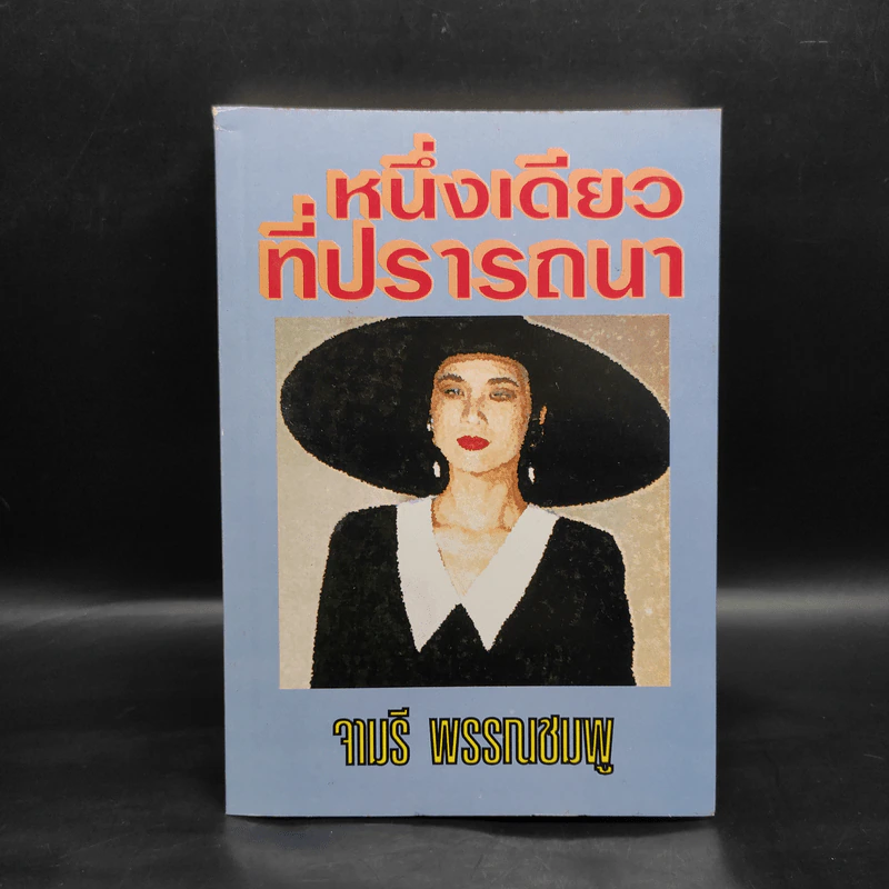 หนึ่งเดียวที่ปรารถนา - จามรี พรรณชมพู รูปที่ 1