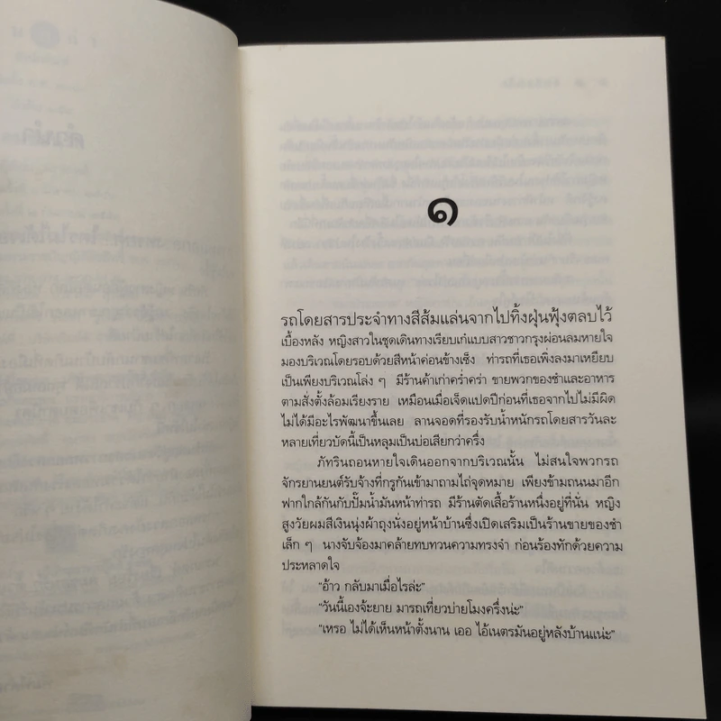 ลมซ่อนรัก - นราเกตต์ รูปที่ 6