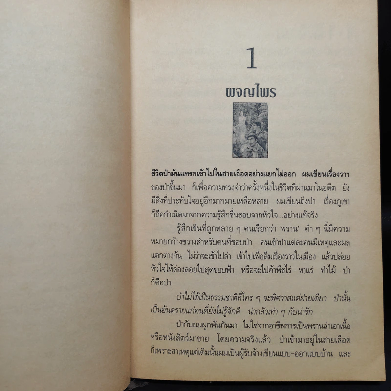 ผจญไพร - สังคีต จันทนะโพธิ รูปที่ 6
