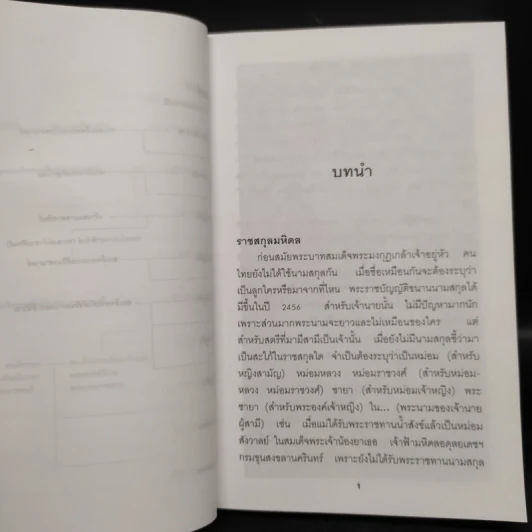 เจ้านายเล็กๆ ยุวกษัตริย์ - กัลยาณิวัฒนา รูปที่ 7