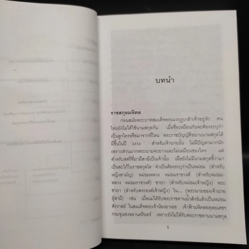 เจ้านายเล็กๆ ยุวกษัตริย์ - กัลยาณิวัฒนา รูปที่ 7