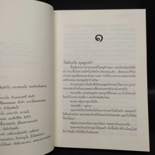 ไฟในวายุ - ดวงตะวัน รูปที่ 6