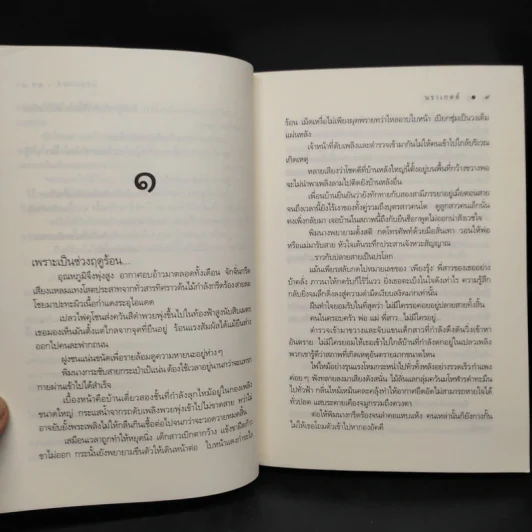 เงาเสน่หา - นราเกตต์ รูปที่ 6