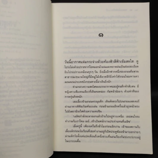สะพานแสงคำ - ปิยะพร ศักดิ์เกษม รูปที่ 6
