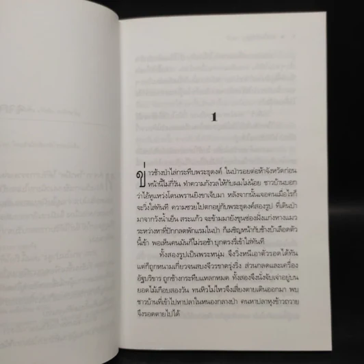 สางในป่าสูง - วัธนา บุญยัง รูปที่ 6