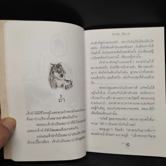 เจ้าอ๋า หมาป่าน้อย - อิงกริด อือเบอ รูปที่ 7