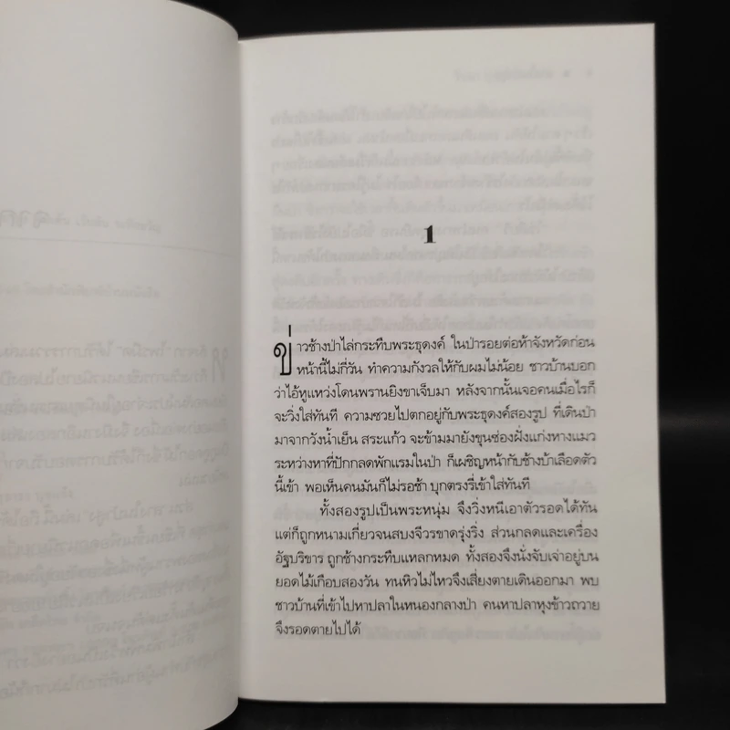 สางในป่าสูง - วัธนา บุญยัง รูปที่ 6