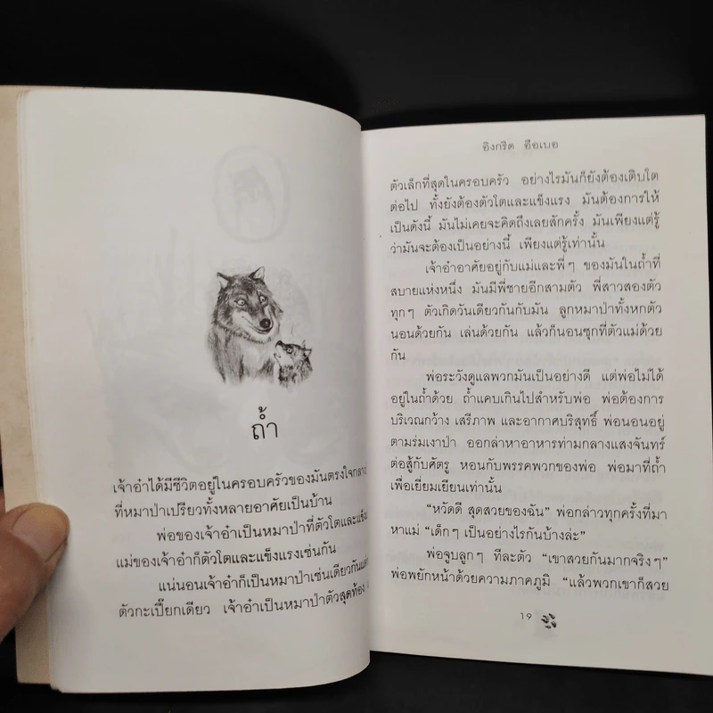 เจ้าอ๋า หมาป่าน้อย - อิงกริด อือเบอ รูปที่ 7
