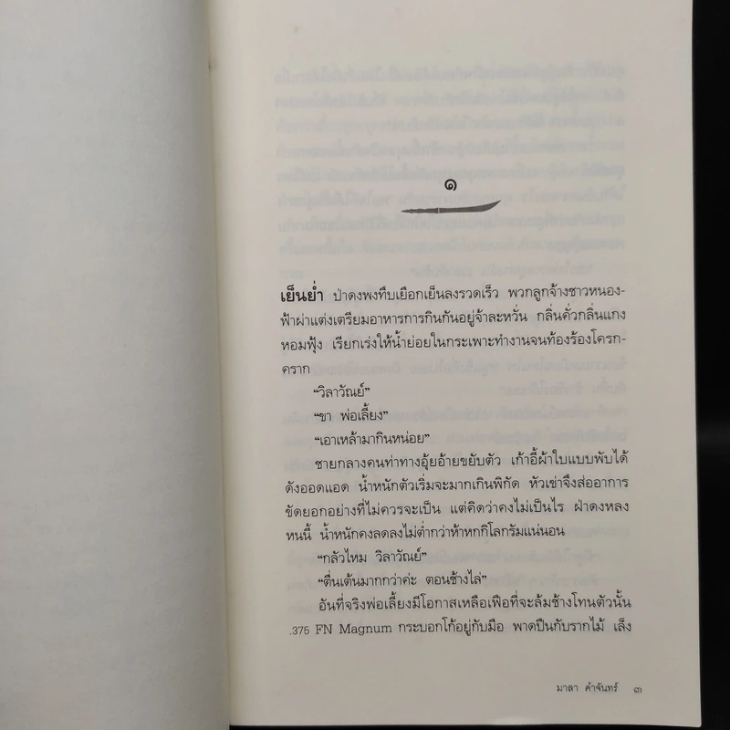 กงฟ้าลี้ - มาลา คำจันทร์ รูปที่ 6