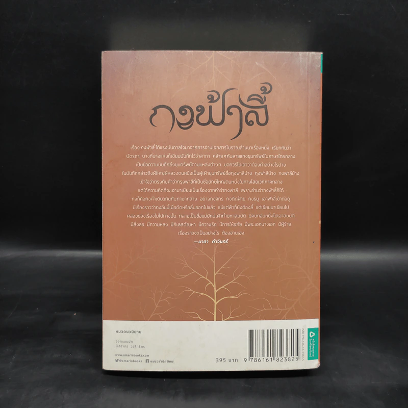 กงฟ้าลี้ - มาลา คำจันทร์ รูปที่ 2