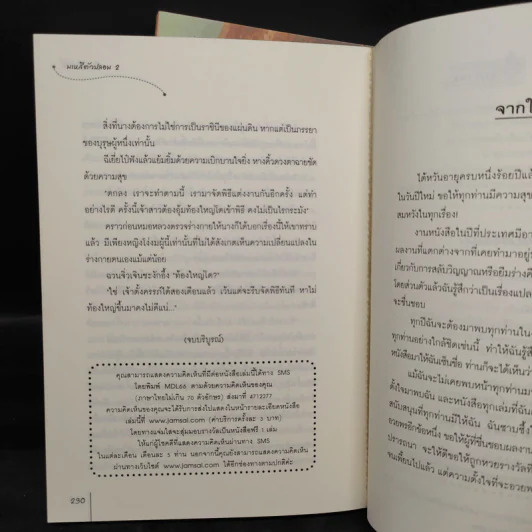 มเหสีตัวปลอม 2 เล่มจบ - เฉียนเฉ่าโม่ลี่ รูปที่ 7