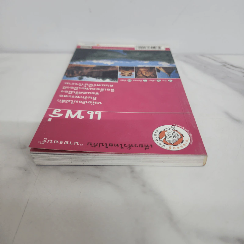 เที่ยวทั่วไทยไปกับนายรอบรู้ แพร่ รูปที่ 4