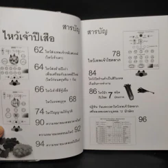 รับทรัพย์ปีเสือ - วิศิษฎ์ เตชะเกษม รูปที่ 5