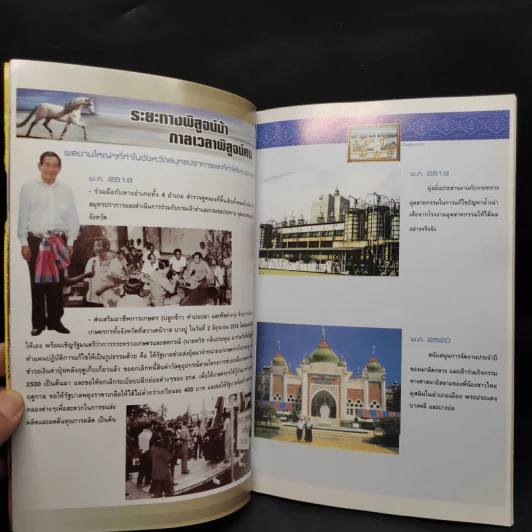 เทิดไท้องค์ราชัน เป็นมิ่งขวัญปกเกล้าฯของชาวไทย รัชกาลที่ 9 รูปที่ 5