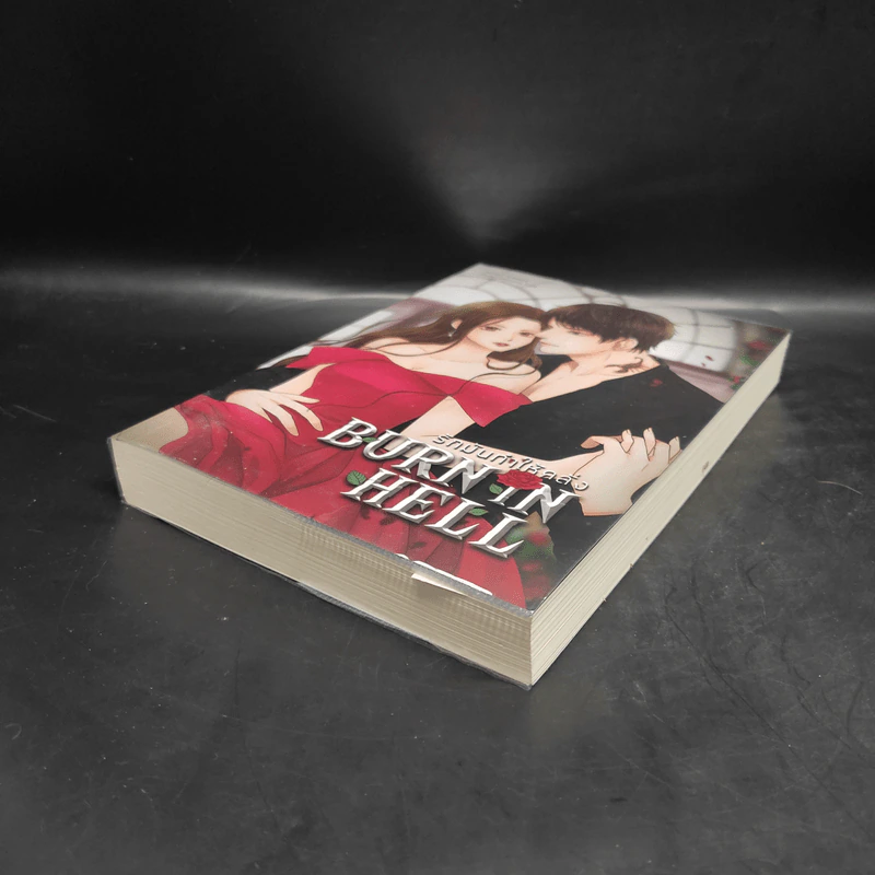 BURN IN HELL รักมันทำให้คลั่ง - S.AQUA รูปที่ 4
